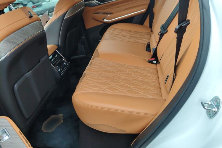 Used Tank 500 New Energy 2024 Hi4-T Left Rear Seat