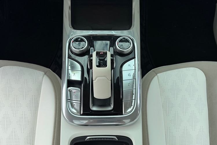 Used Cyberspace Tank 300 2021 2.0T Cyber Tank
