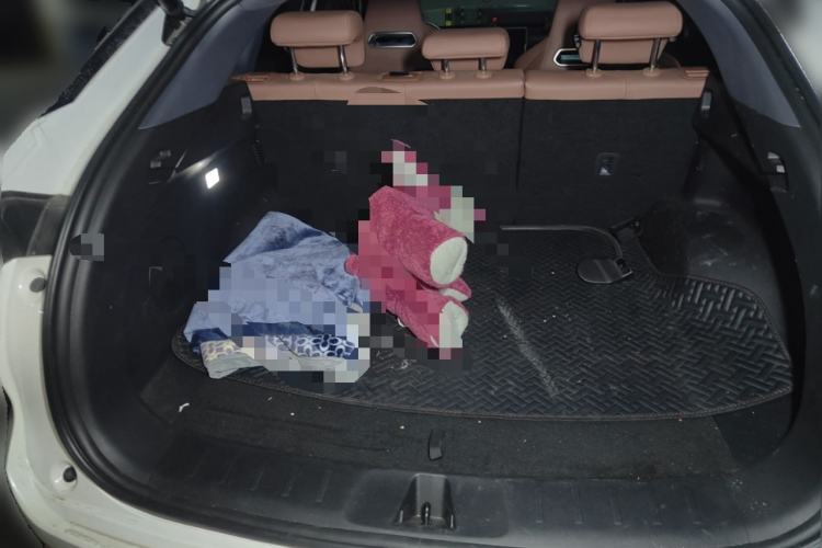 Used CHANGAN UNI-Z New Energy 2024 Blue Whale Smart Electric iDD 125km Leading Model Trunk