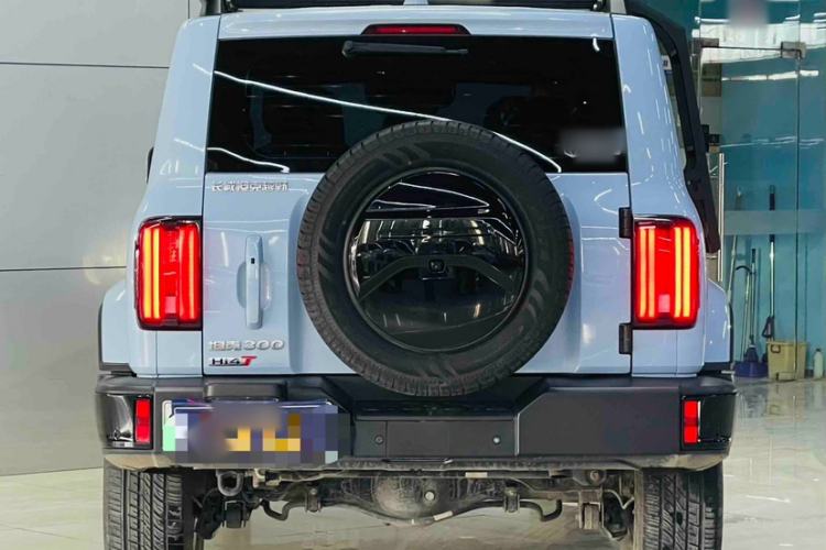 Used Tank 300 New Energy 2024 Hi4-T
