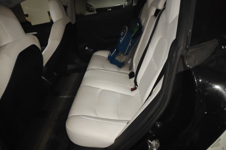 Used Tesla Model 3 2022 Rear-Wheel-Drive Version
