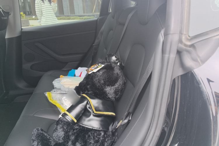 Used Tesla Model 3 2021 Revised Version Standard Range Rear-Wheel Drive Upgraded Edition 3D1