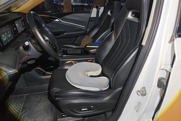 Used NETA U 2021 Revised Pro 400 Industry Custom Edition Left Front Seat