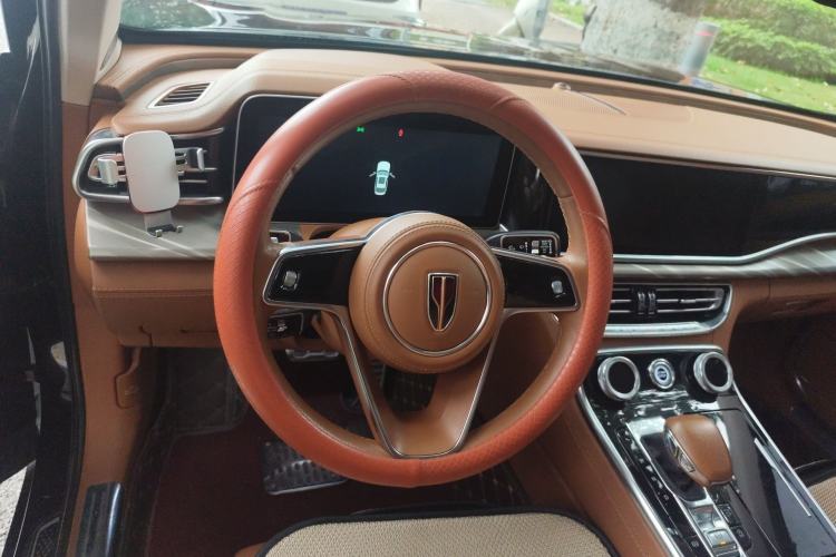 Used Hongqi H9 2020 2.0T Smart Connect Flagship Edition
