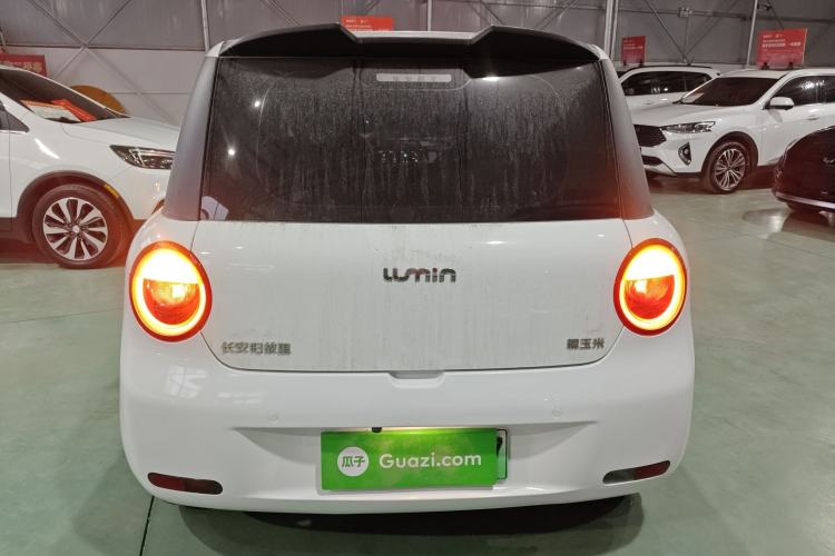 Used Qiyuan Lumin 2023 205km Xiangqin Version
