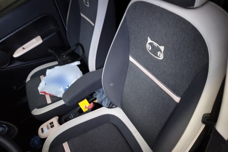 Used ORA Black Cat 2022 405 km Long-Range Version Ternary Lithium
