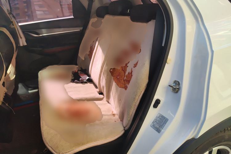 Used Changan CS55PLUS 2020 1.5T Manual Colorful Model