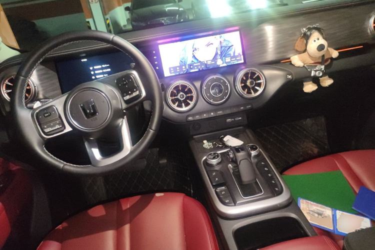 Used Tank 300 2024 2.0T Conqueror