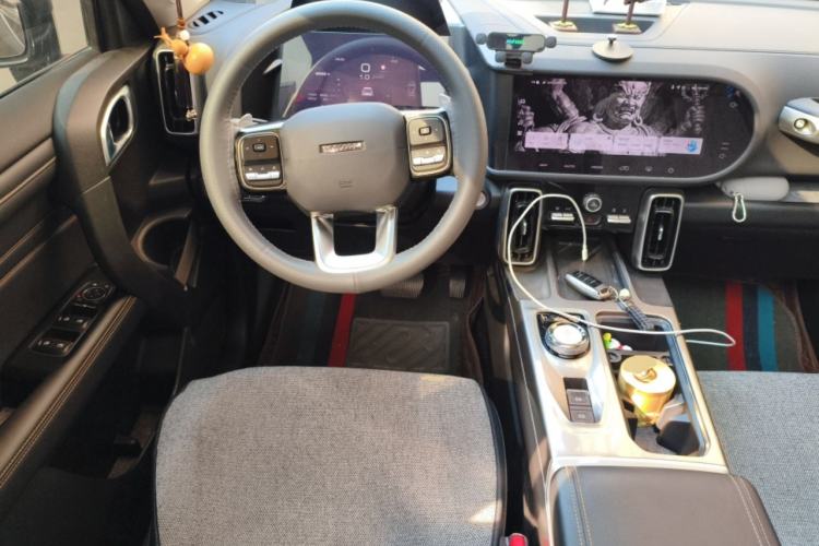 Used Haval DARGO 2024 2.0T DCT Chinese Rural Dog Edition