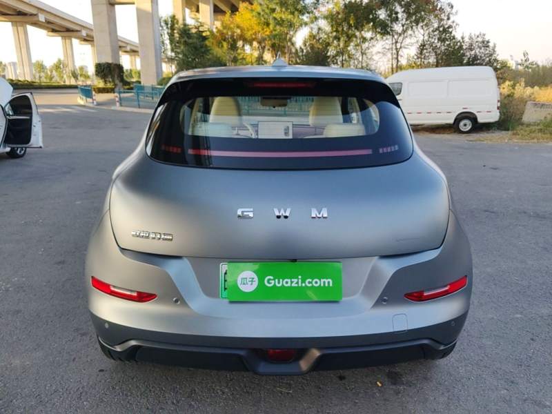 Used ORA Good Cat 2025 Model, 430 km Prestige Version — 5