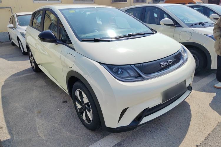 Used BYD Dolphin 2025 420km Free Edition