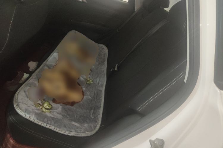 Used NETA V 2021 Standard Range Entertainment Version – Upgraded Model Left Rear Seat