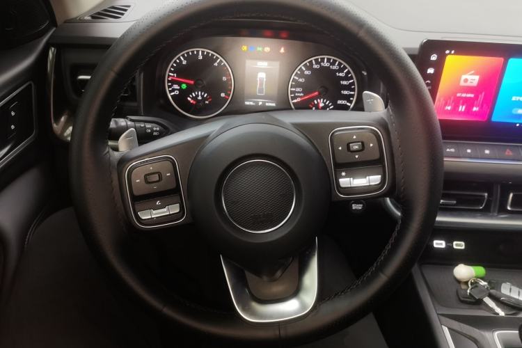 Used Great Wall Poer 2023 2.0T Commercial Version Automatic Diesel Two-Wheel Drive Elite Standard Box GW4D20M