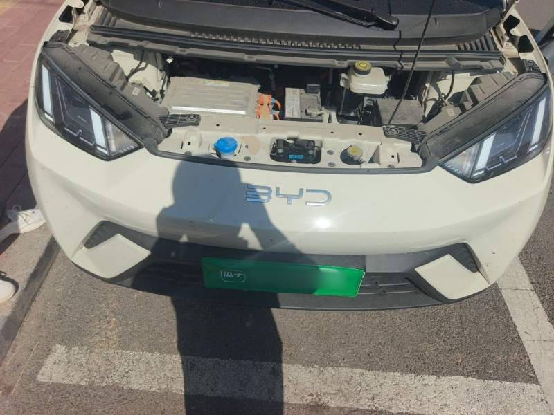 Used BYD Seagull 2025 305 km Free Version — 21