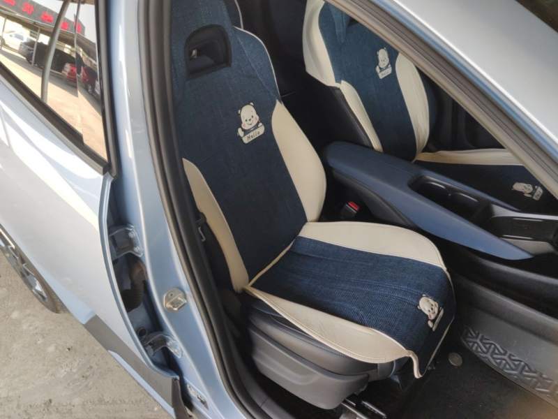 Used BYD Seagull 2025 305 km Free Version — 24