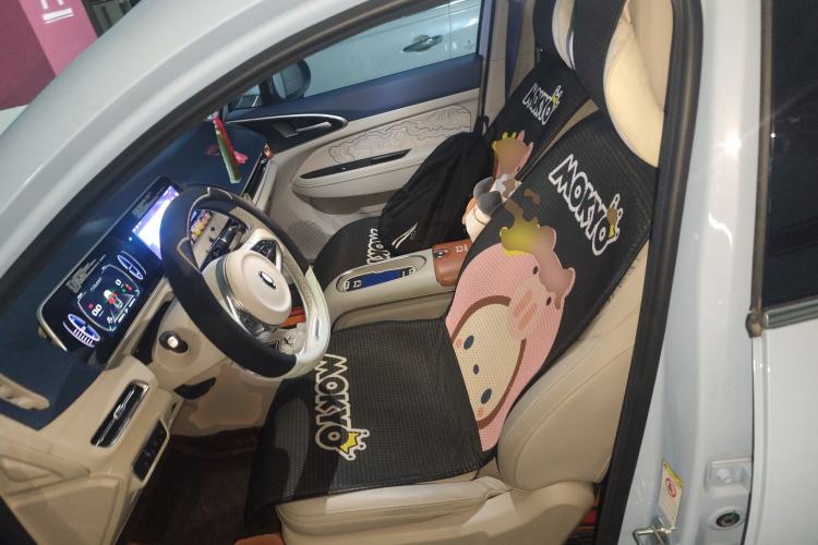 Used ORA Good Cat 2023 401 km Standard Range Luxury Version Lithium Iron Phosphate
