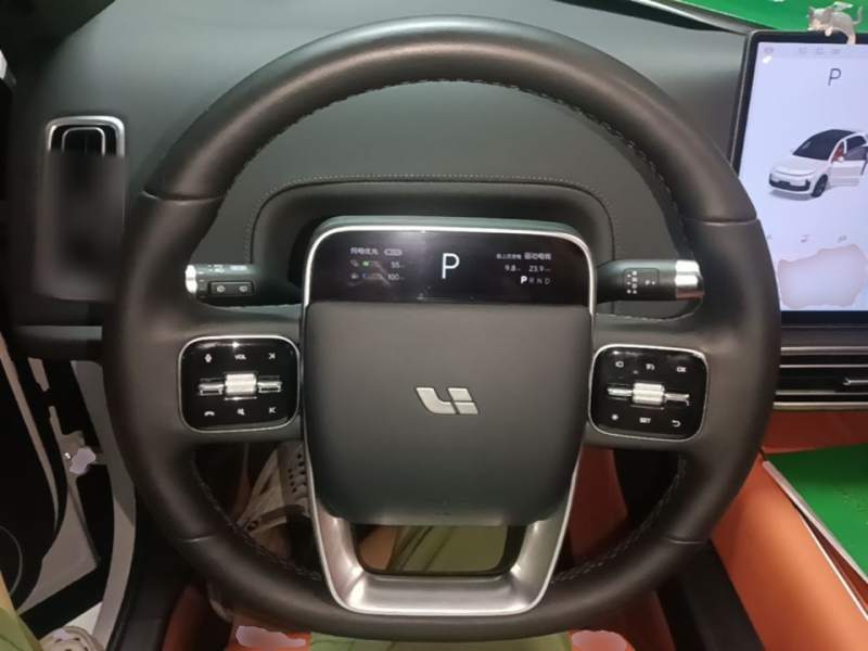 Used Li Auto L6 2024 Max — 10