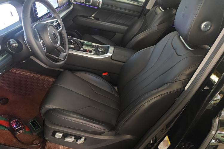 Used Tank 400 New Energy 2023 Hi4-T Super Edition Left Front Seat