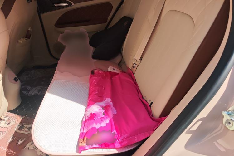 Used ORA Good Cat 2022 400km Standard Range Premium Version Lithium-Ion Battery
