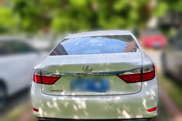 Used Lexus ES 2013 250 Elite Edition Rear