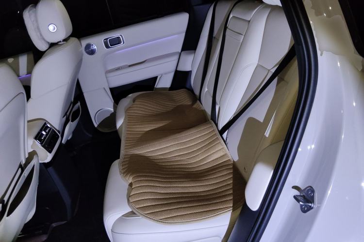 Used Li Auto L6 2025 Max Smart Refresh Edition Left Rear Seat