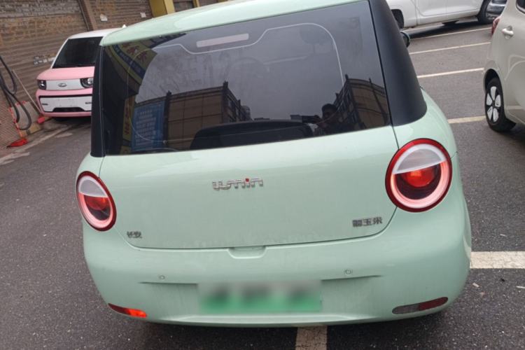 Used CHANGAN NEVO Lumin 2024 130km Qingyue Version Rear