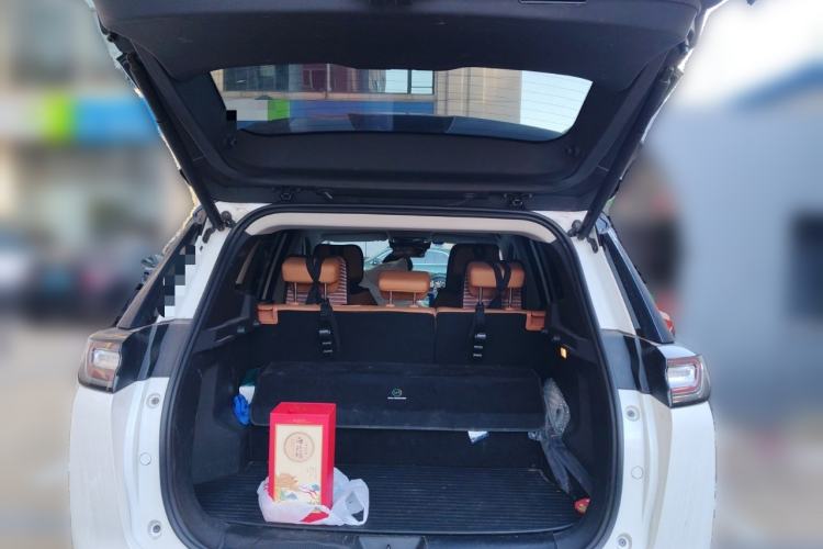 Used WM Motor W6 2021 520km PRO All-Round Edition