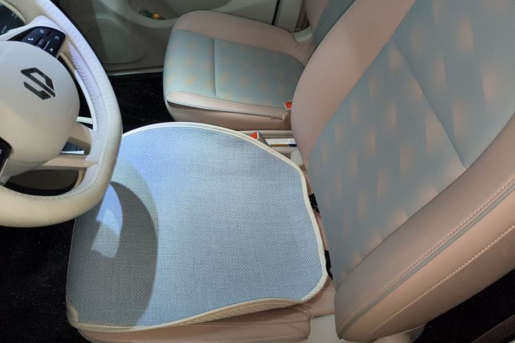 Used Leapmotor T03 2023 403 Smart Edition Left Front Seat