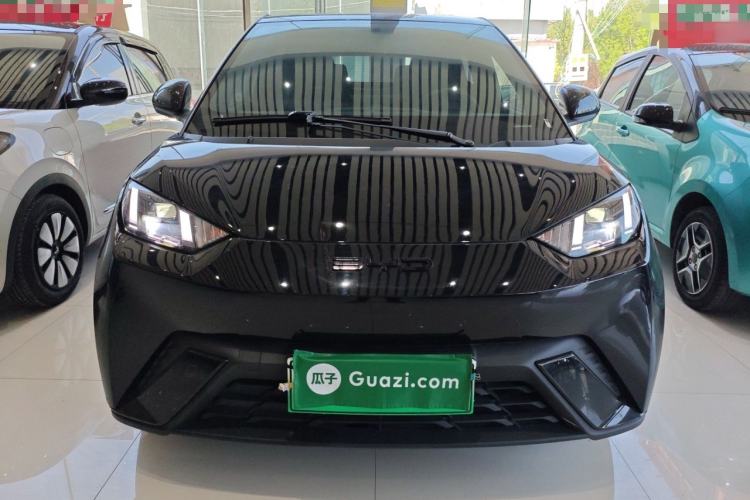 Used BYD Seagull 2023 Flying Edition Front