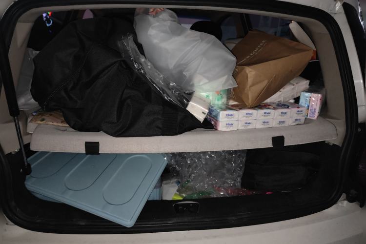 Used JMEV E200L 2018 E200L Standard Model (250 km)