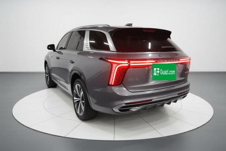 Used Hongqi E-HS9 2022 660 km Range Flagway Edition Six Seats Exterior 2