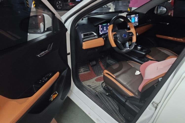 Used BYD e2 2021 Luxury Model Driver Seat