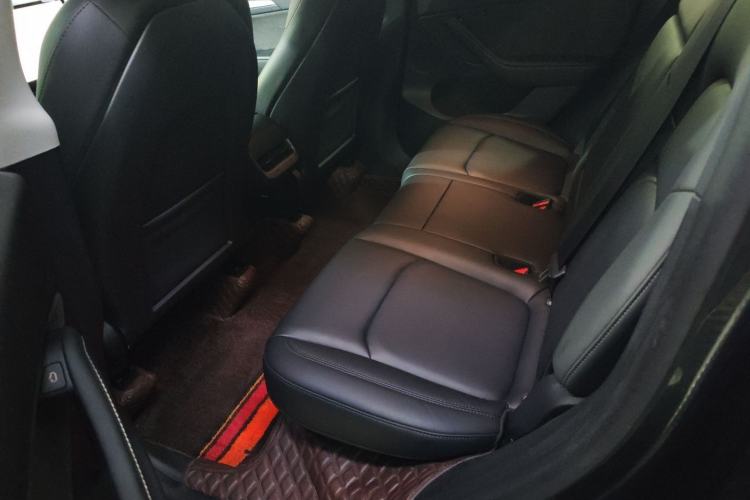 Used Tesla Model Y 2024 Long-Range All-Wheel-Drive Version Left Rear Seat