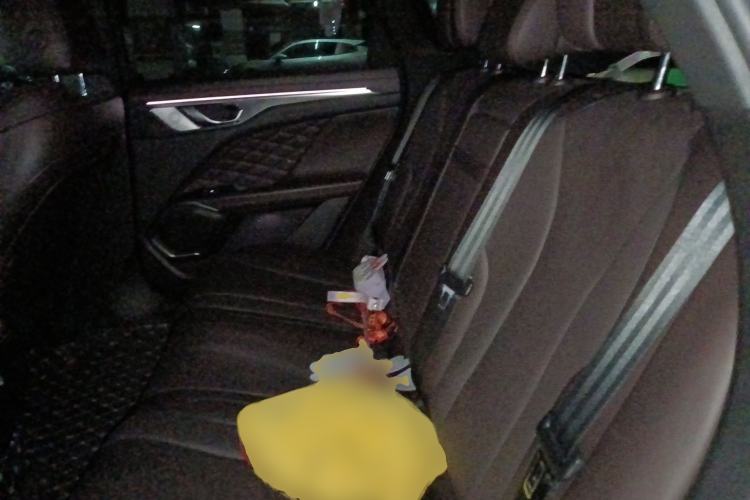 Used Wey Mocha 2021 2.0T Two-Wheel-Drive Ultra-Strong Version