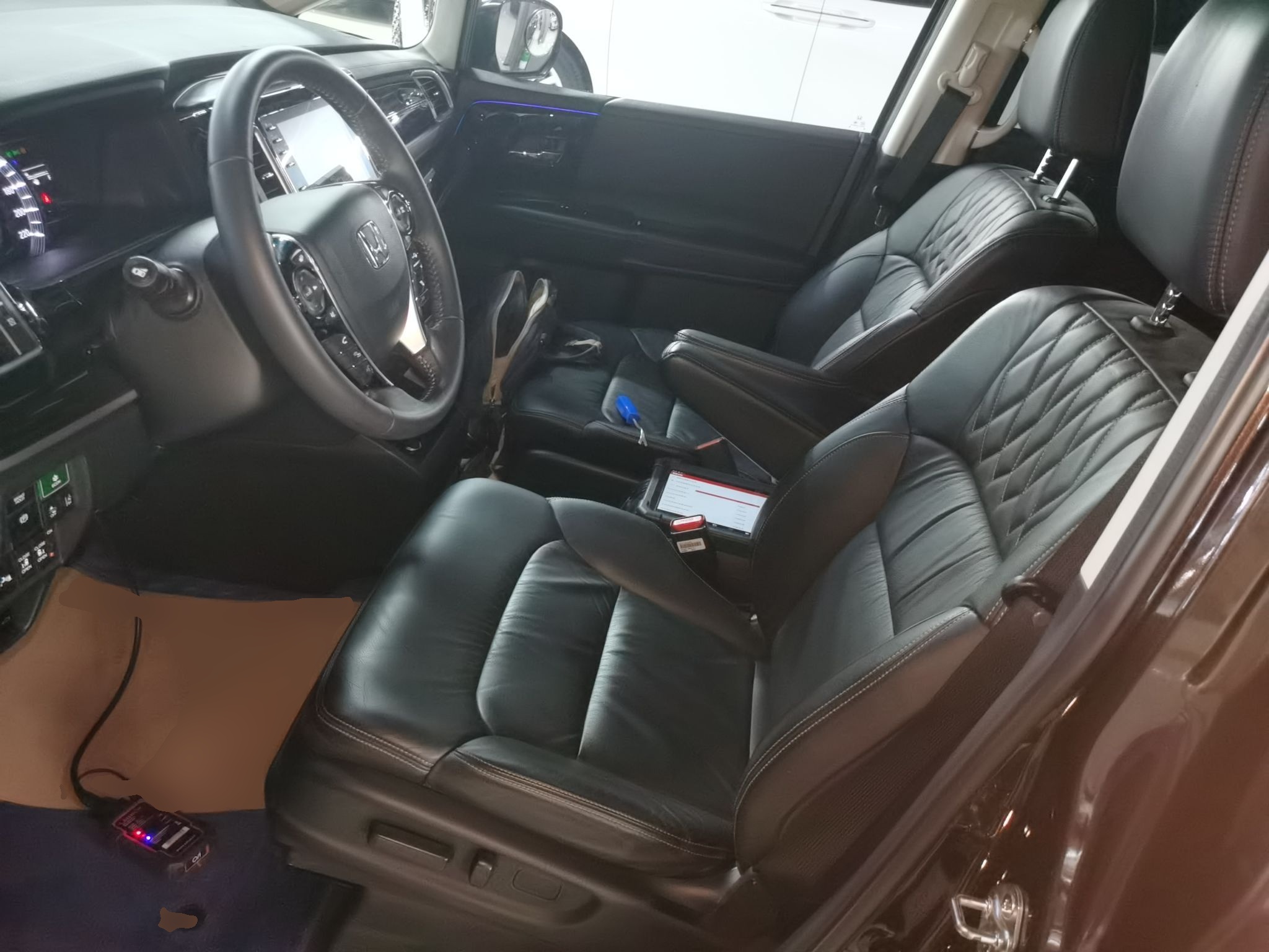 Interior delantero