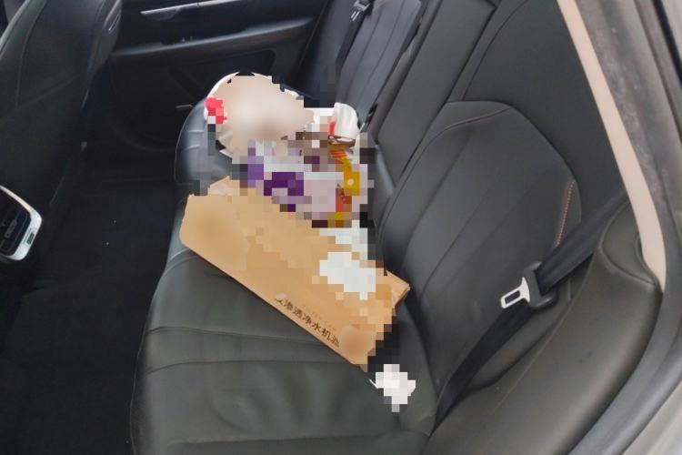 Used XPeng P7 2021 480G Left Rear Seat