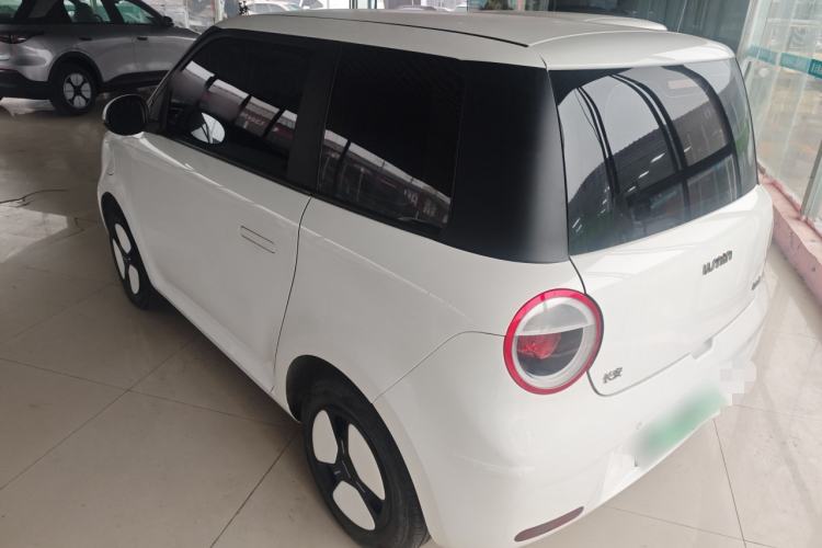 Used Qiyuan Lumin 2023 205km Xiangqin Version

