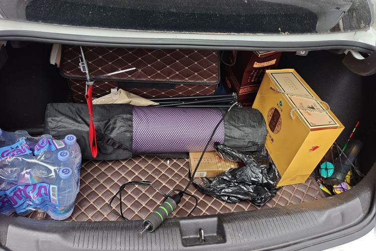 Used Buick Regal 2019 20T Elite Version China VI Standard