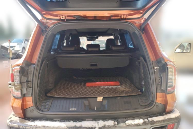 Used Haval DARGO 2021 2.0T DCT 4x4 Chinese Rural Dog Edition

