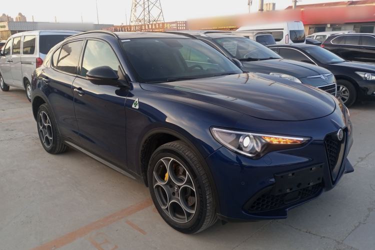 Used Alfa Romeo Stelvio 2019 2.0T 280HP Black Package Limited Edition