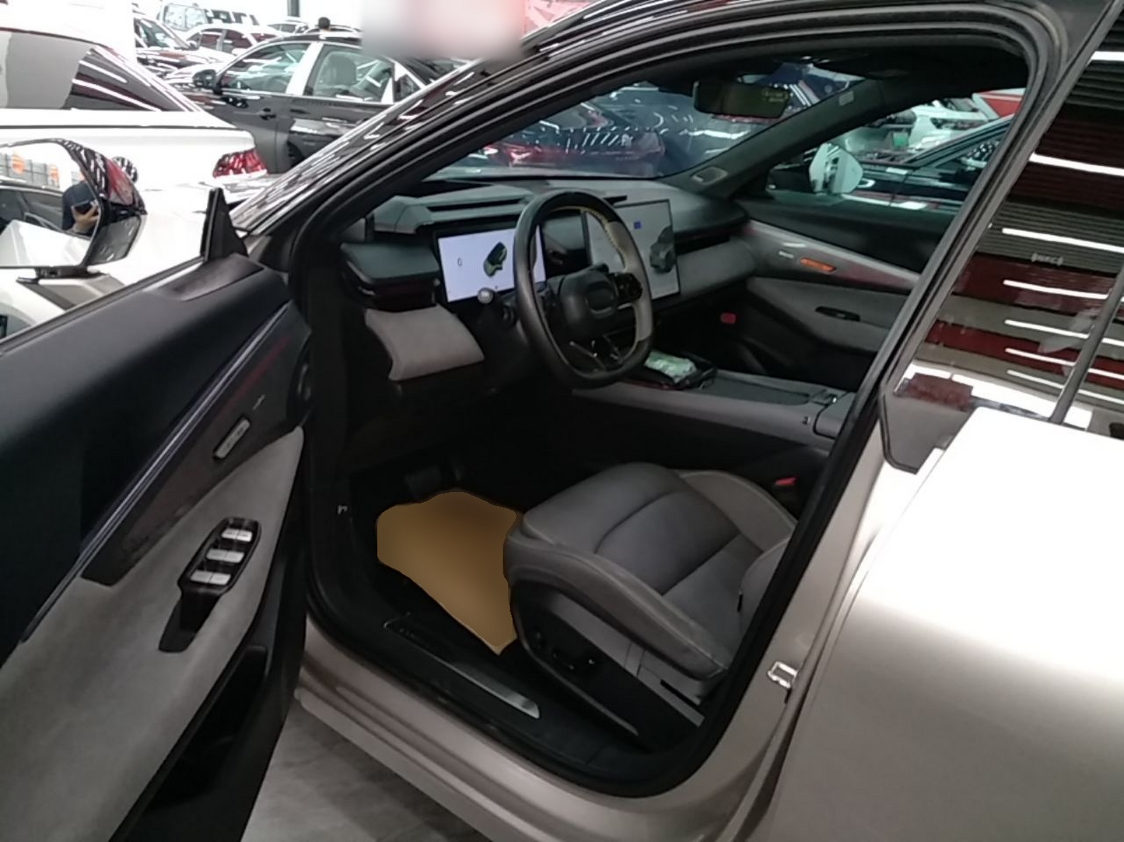 Interior delantero