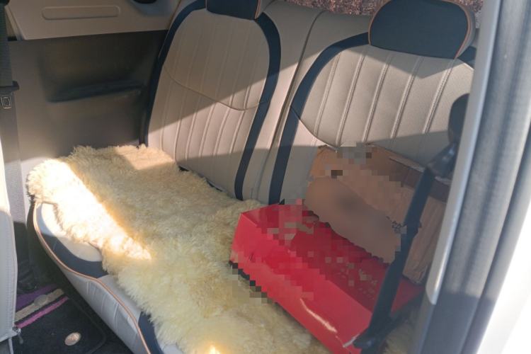 Used Geely Galaxy Panda 2024 Panda Mini 200km Endurance Bear