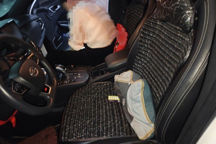 Used Land Xiaoyao 2018 1.5 GTDI CVT Panoramic Platinum Edition