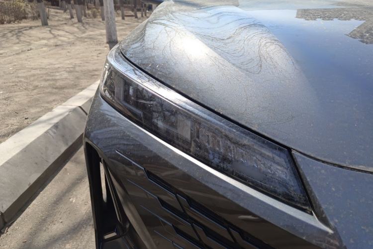 Used CHANGAN Eado DD 2023 Blue Whale NE 1.5T GDI DCT Luxury Edition
