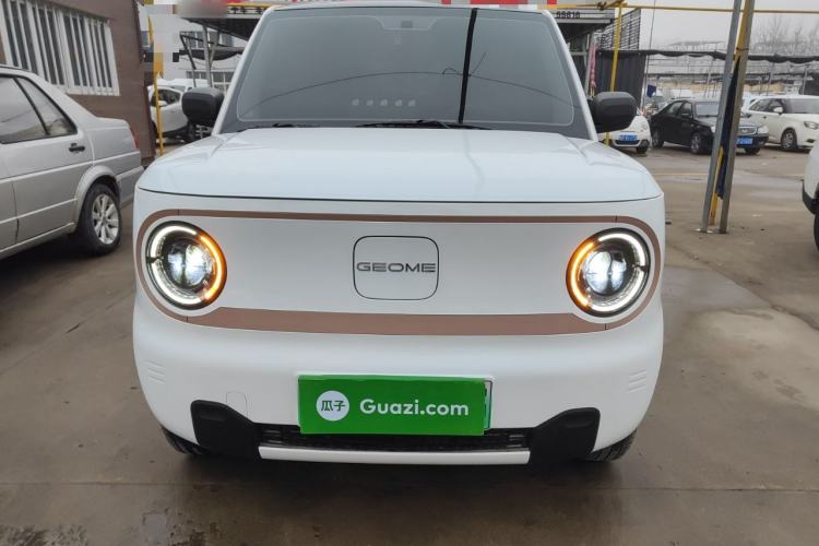 Used Geely Galaxy Panda 2024 Panda Mini 200km Endurance Bear
