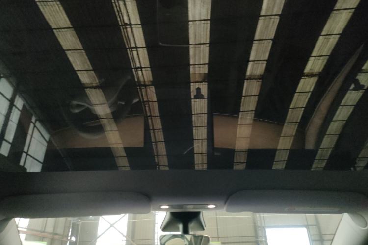 Used Tesla Model Y 2021 Long-Range All-Wheel-Drive Version Headliner