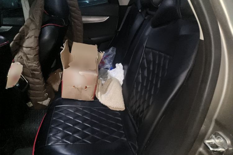 Used BORGWARD BX5 2017 20TGDI Automatic Two-Wheel Drive Pioneer Edition Left Rear Seat