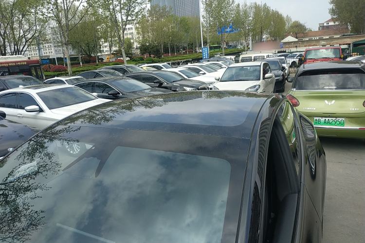 Used Tesla Model Y 2026 Rear-Drive Model Roof