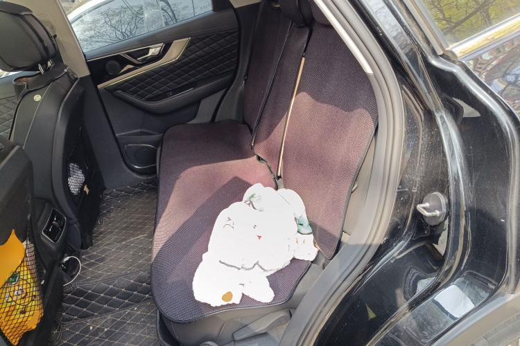 Used Hongqi HS5 2019 2.0T Smart Connect Flagship Edition Left Rear Seat