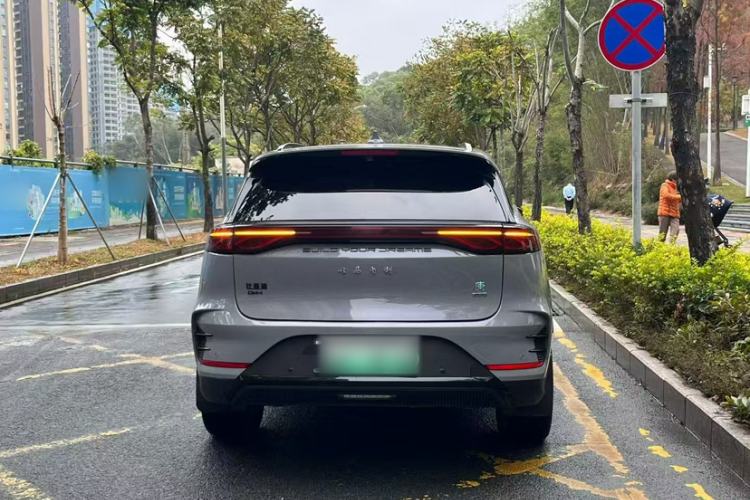 Used BYD Tang New Energy 2025 DM-i 115KM Prestige Model